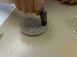 iron sand and salt lab Separation lab question: the conclusion is that if the correct procedures were followed in the experiment, the substance of salt, sand, iron filings, and wood . iron sand and salt lab Separation lab question: the conclusion is that if the correct procedures were followed in the experiment, the substance of salt, sand, iron filings, and wood .