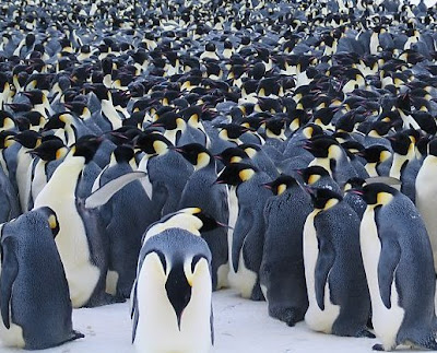 linux annoyances