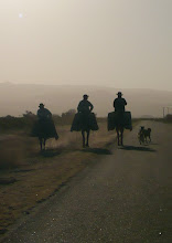 GAUCHOS