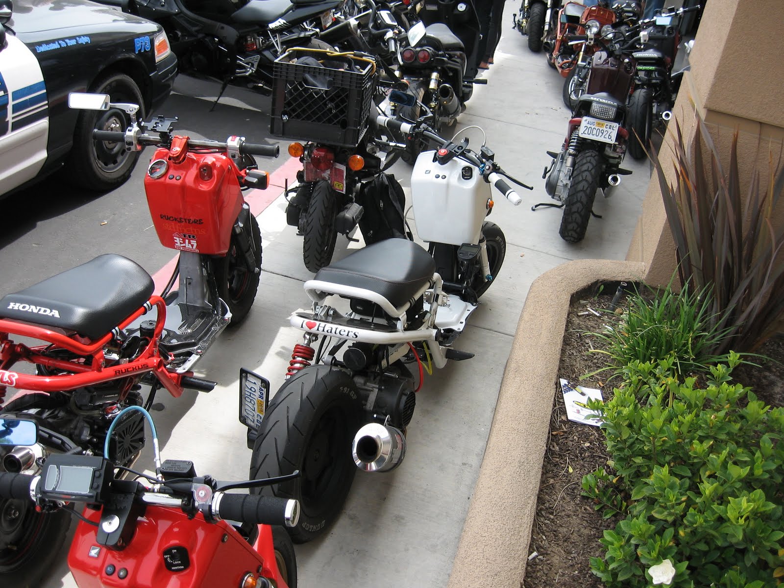 berts bike shop