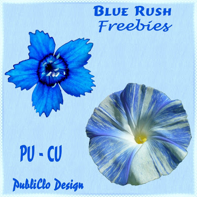 http://publikado.blogspot.com/2009/12/blue-rush-des-fleurs-pour-rechauffer-ce.html