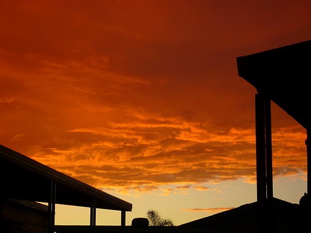 [L1030659-2.JPG]