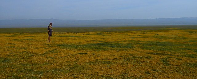 [L1040701-1.JPG]