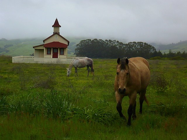 [L1040846.JPG]