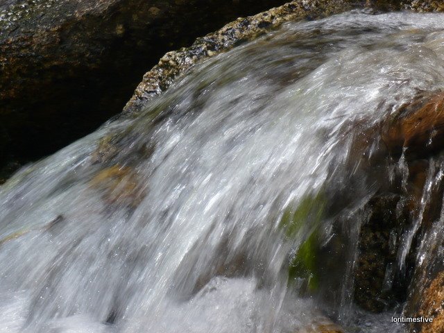 [L1060972.JPG]