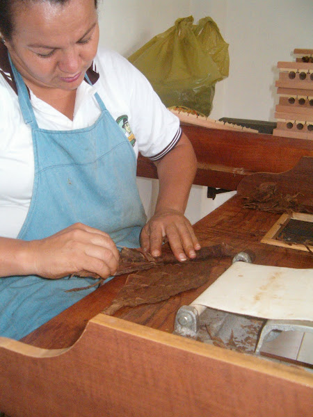 MANUFATURADO CHARUTOS