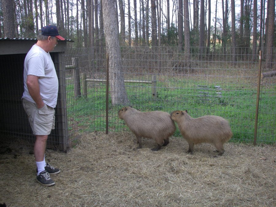 [2009_02_27_10_sRickWestBonnieClydeNd.jpg]