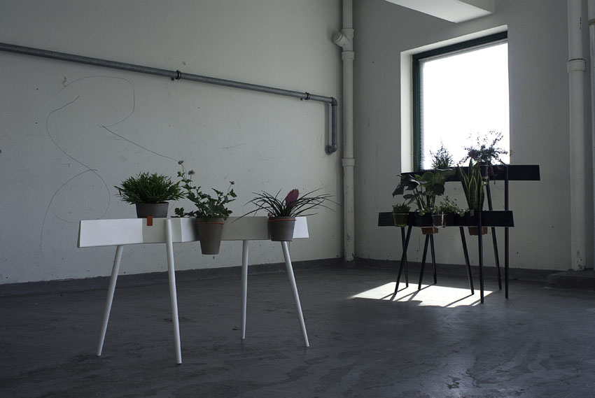 [mule_noproblem.jpg]