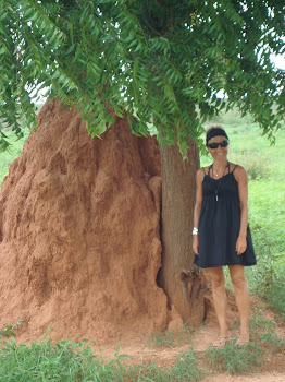 Petite maison chez les termites
