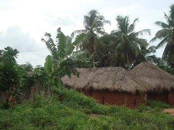 Village dans la campagne béninoise