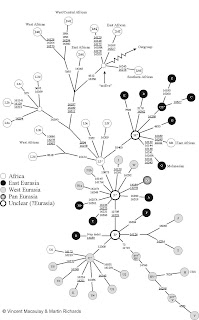 Mitochondrial Eve African Eve Theory | RM. Mitochondrial Eve African Eve Theory | RM.