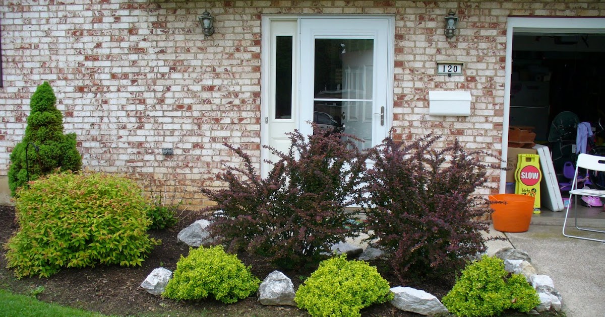 Landscape ideal Small yard landscaping ideas zone 9