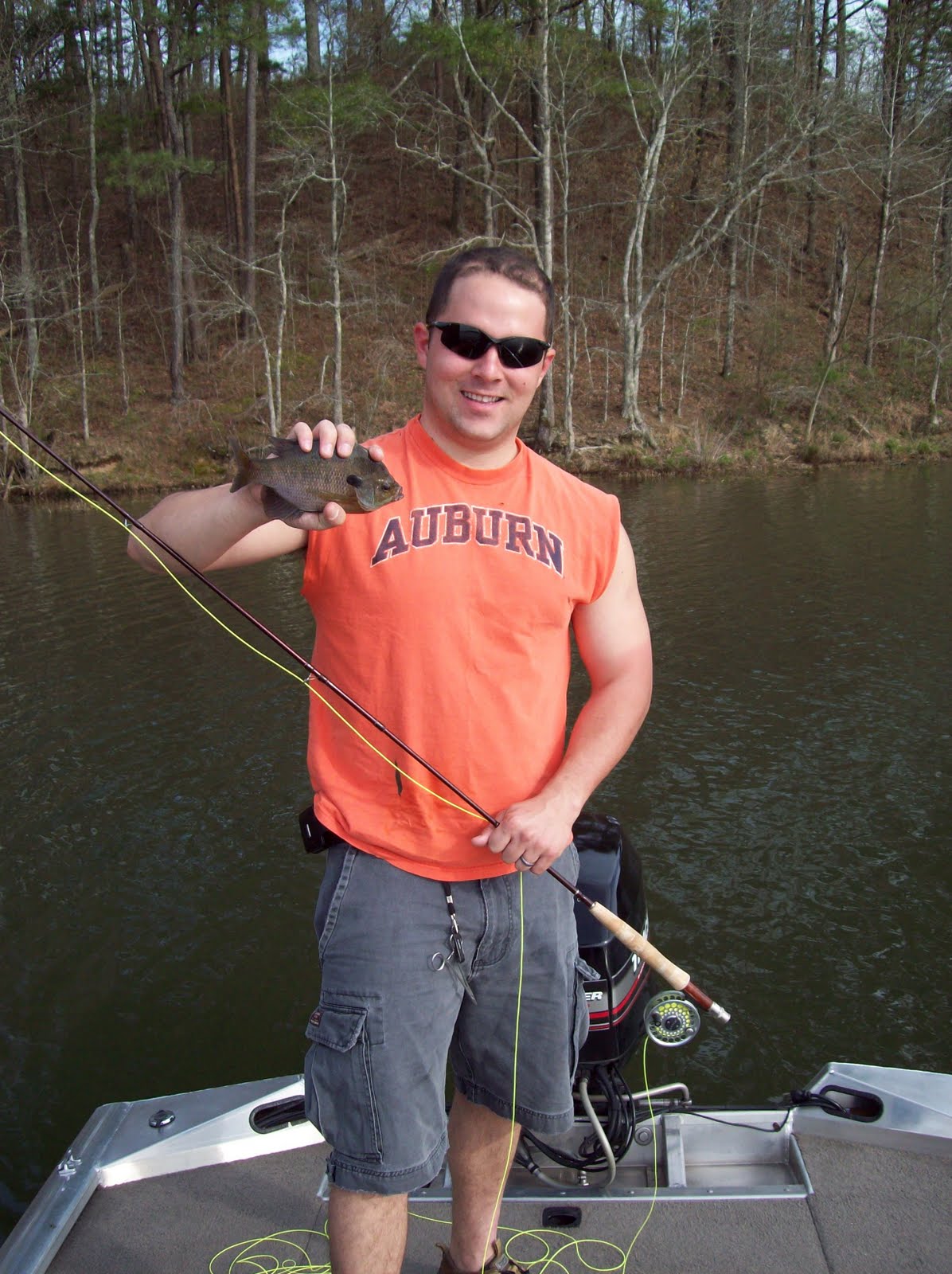 Bull Bluegill