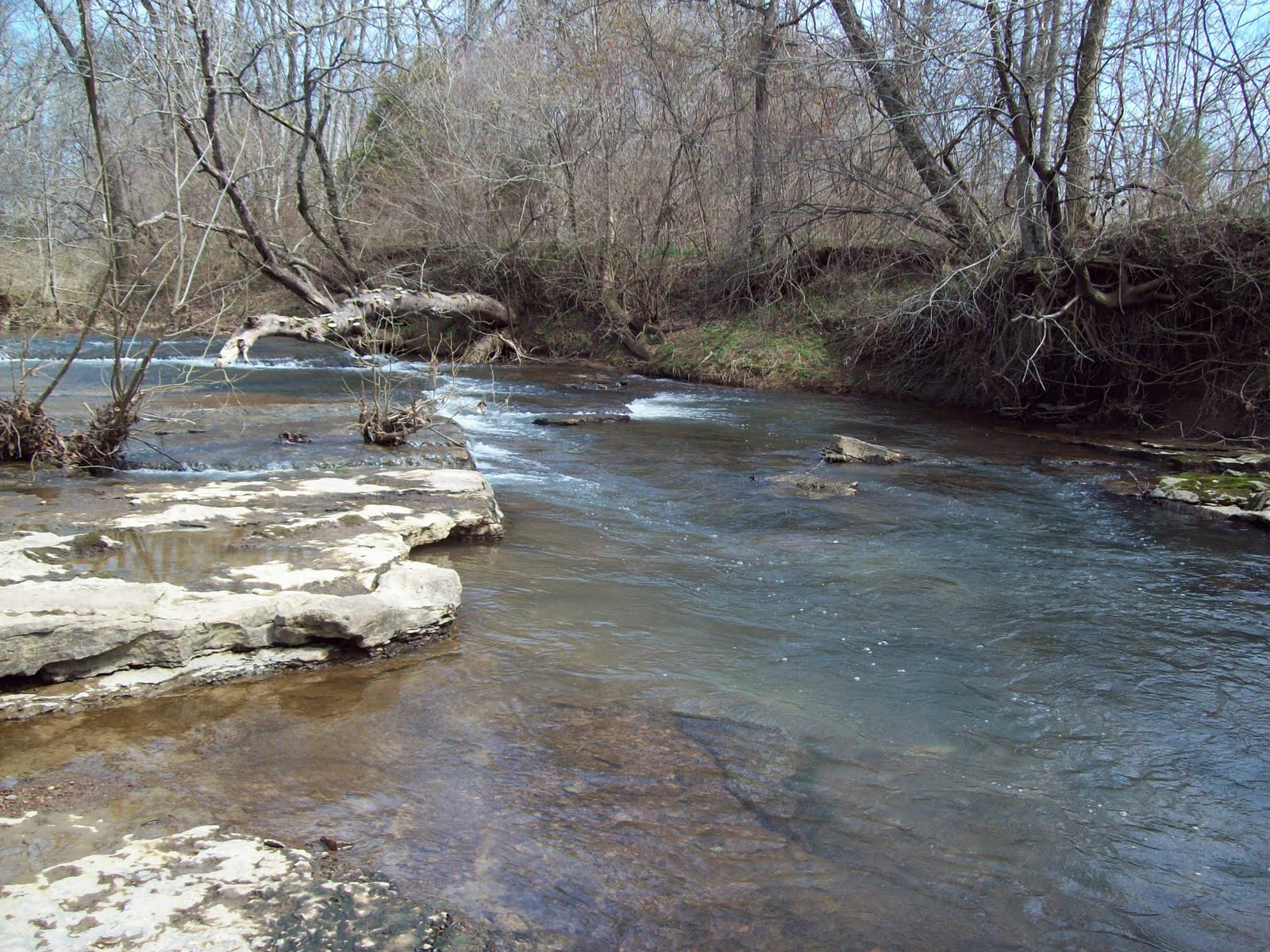 Fishing Through Life Tailrace Trout Below Smith Lake Dam