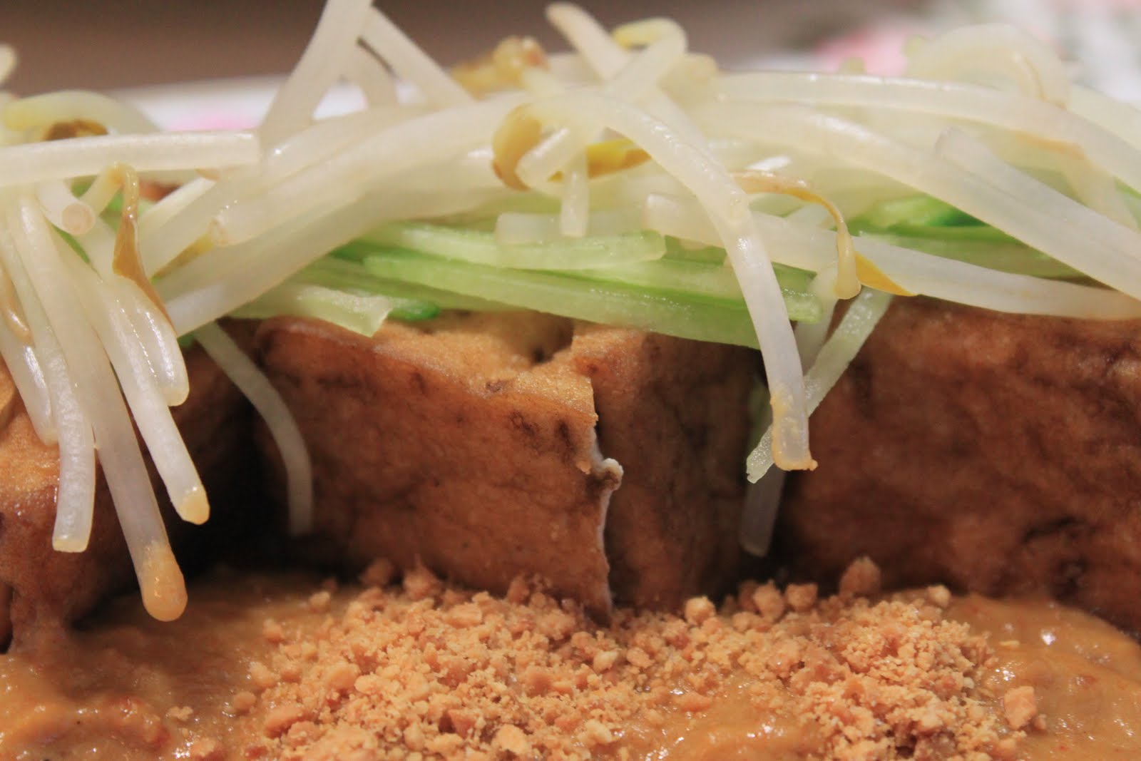 Premix Malaysia Laksa & Pan fried Tofu with gadogado sauce Jane's Corner