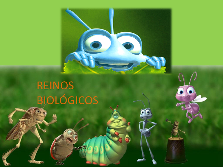 BioloKings