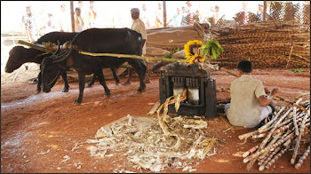 tulu sammelana kelavu zalak...