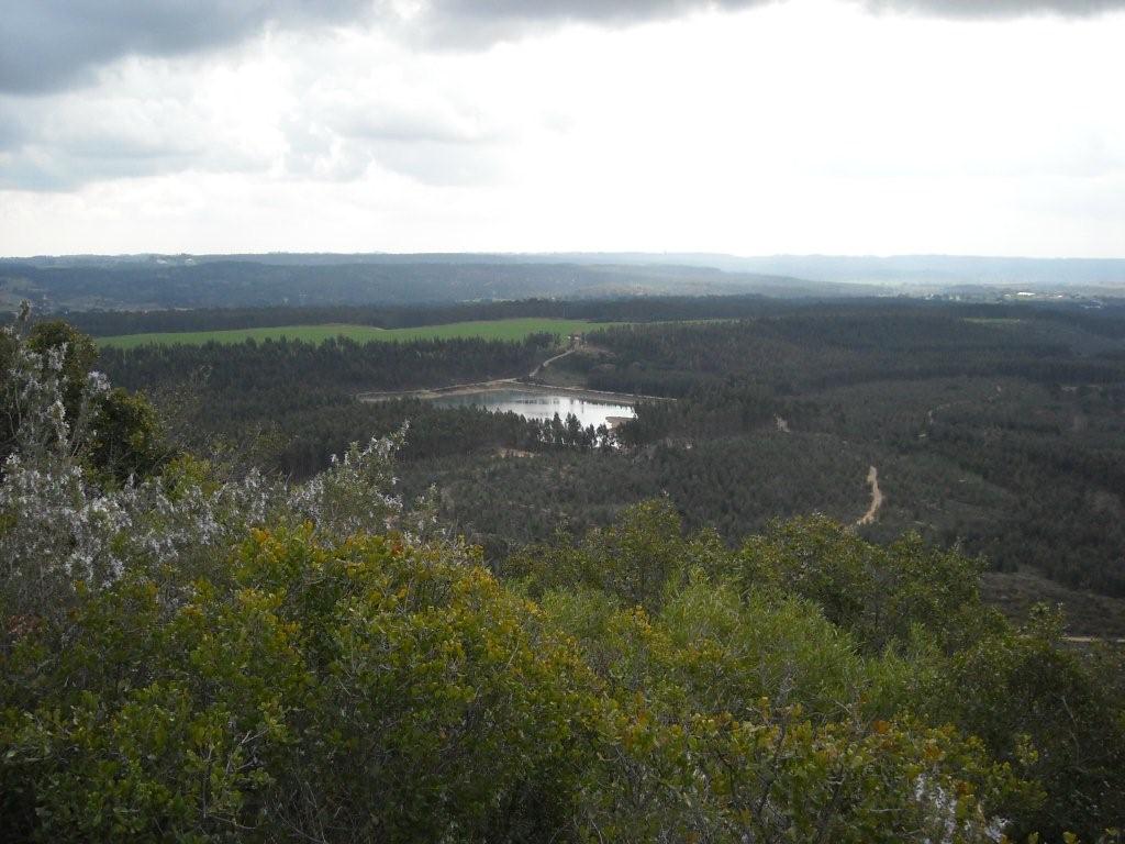 [DSCN0224.JPG]