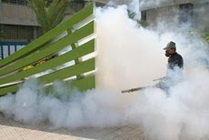 Mosquitos a correr DILE NO AL DENGUE, Operativo de Fumigación espacios abiertos UNE. viernes 5 NOV