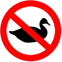 No More Duck!