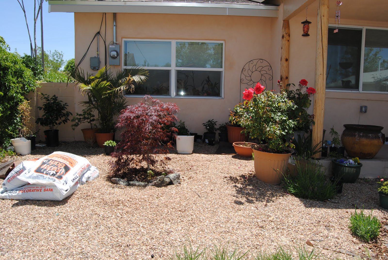 Every Day Is A Dream: To Be Raised Bed front yard or not to be