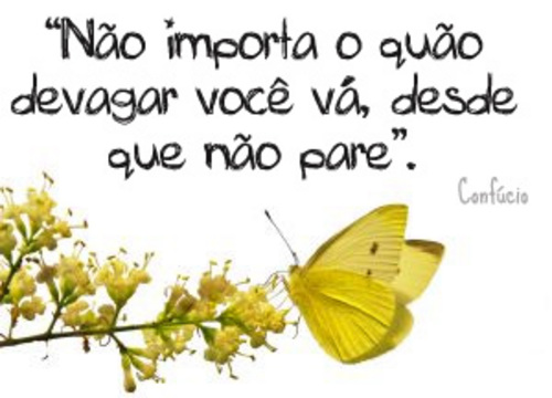 ADOTEI ESSA FRASE...