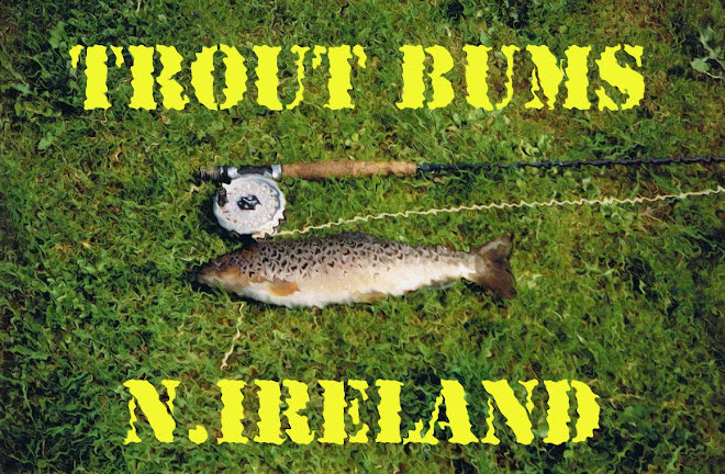 TROUT BUMS N.IRELAND