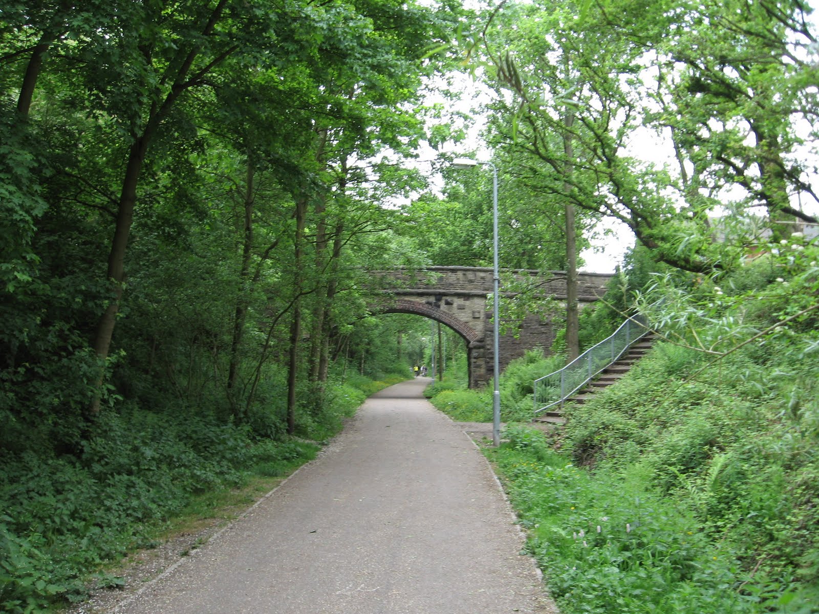 middlewood way