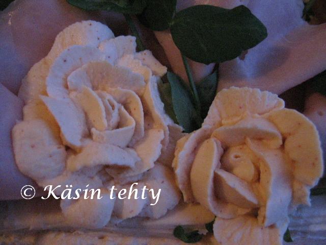 [IMG_5903x.JPG]