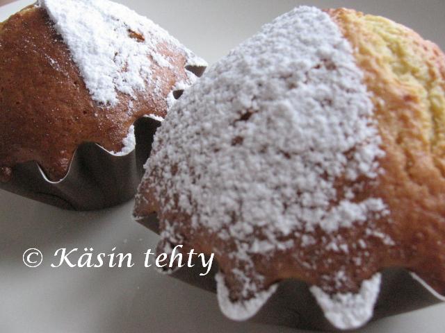 [IMG_6488x.JPG]