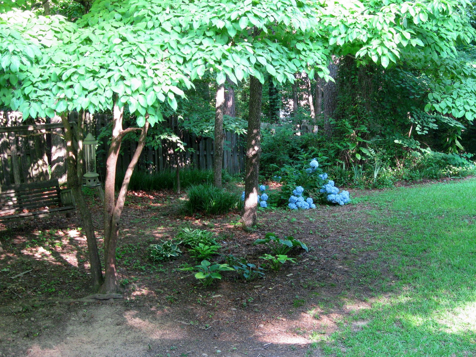landscaping ideas for wooded area garden inspiration landscaping ideas for wooded area garden inspiration