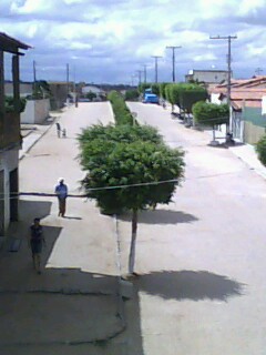 [IMG0119A.jpg]