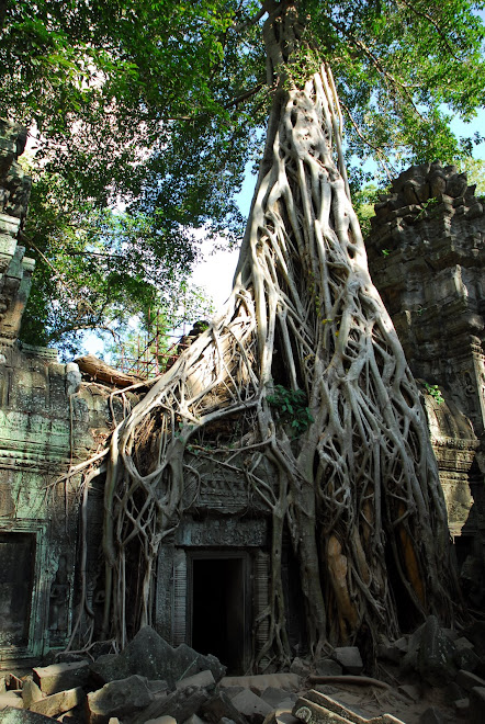 Templo Ta Prohm en Angkor