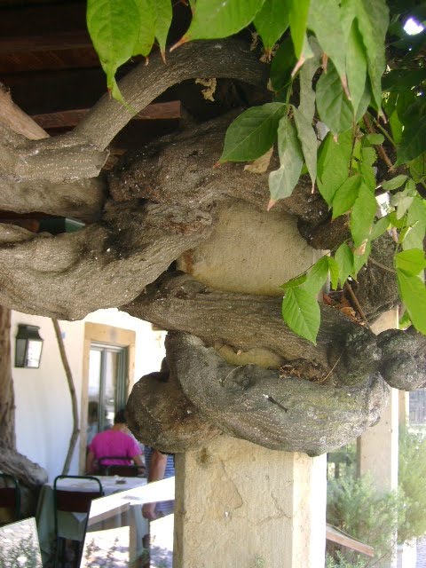 [DSC03064.JPG]