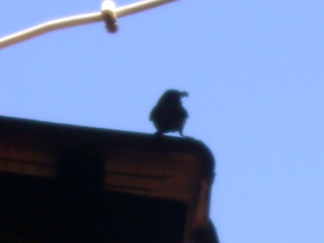 [DSC02794.JPG]