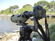 DSLR digiscoping
