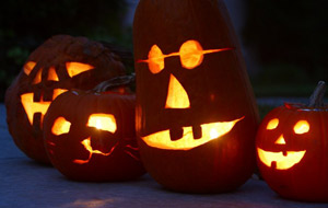 [fourpumpkins.jpg]