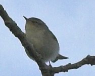 [Summer-Visitor-74-Robert_Mileham-01.jpg]