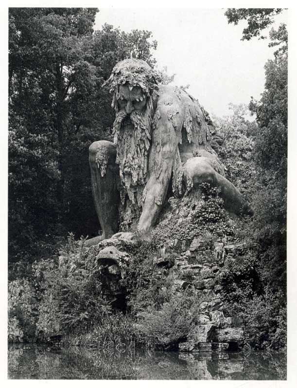 [Project-back-yard-sm.jpg]