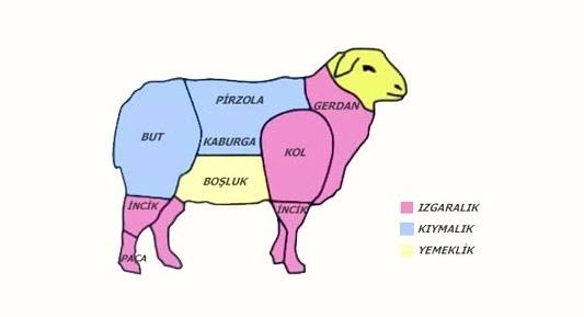 AtBoku Rahatla Koyun eti neden kokar?