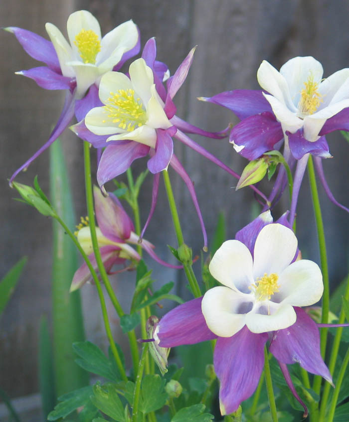 oh hey Get out of here.