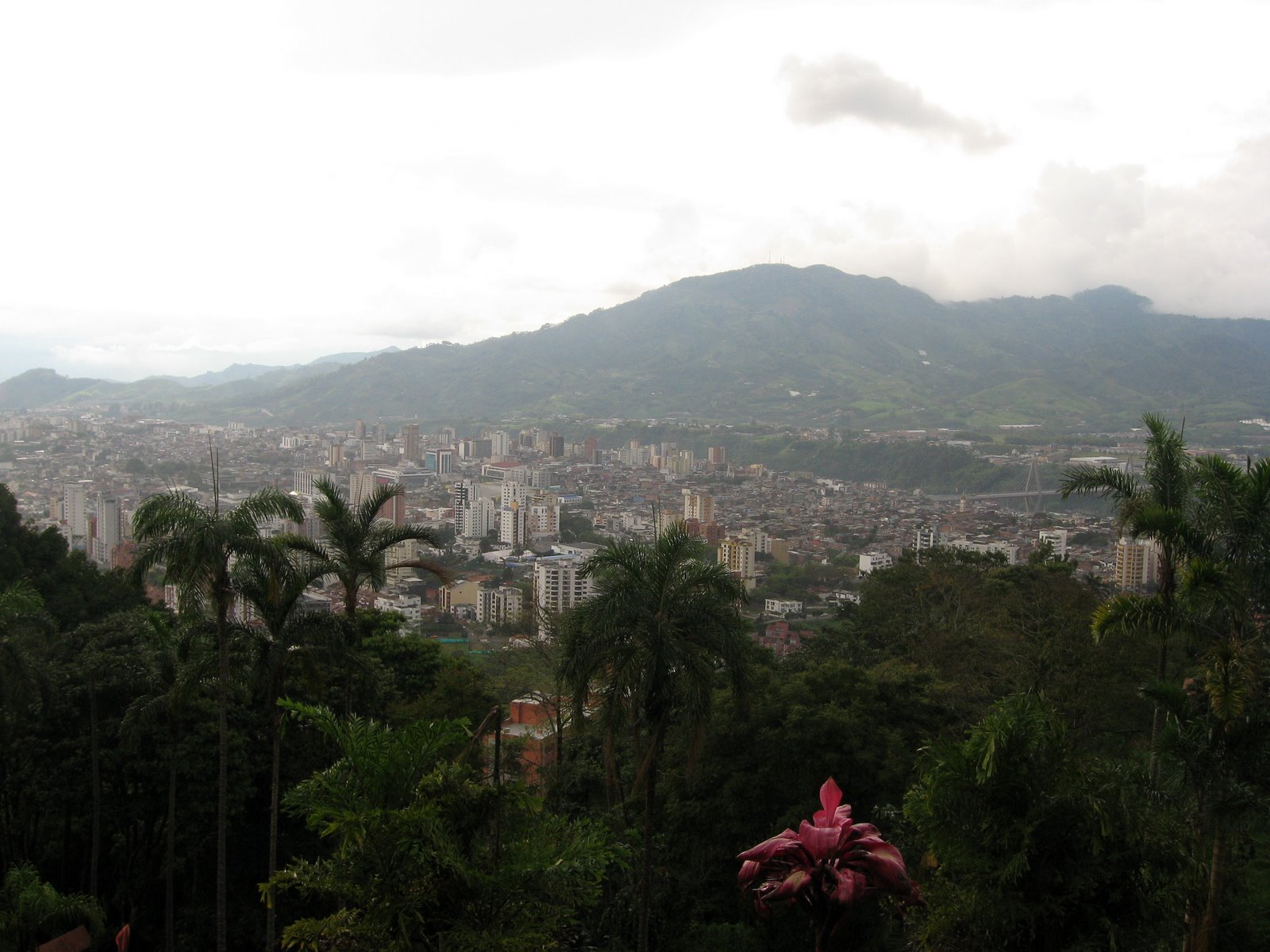 [IMG_5228.JPG]