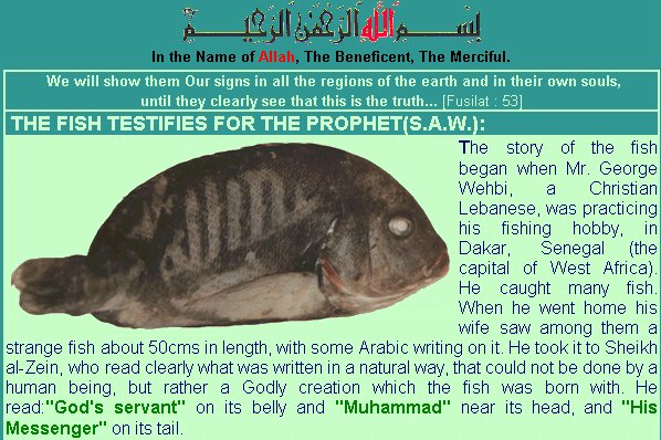 Miracles of ALLAH - fish