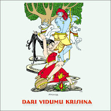 Dari Vidumu Krishna