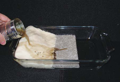 NAMC montessori classroom activities opportunities world water day geography experiment