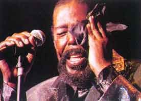 barry ting chi fungus grooving theory brown food apocalypse eugene