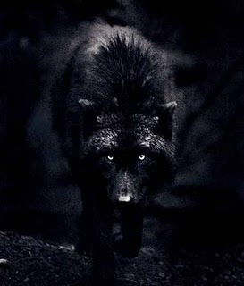 le chien noir