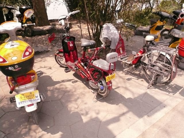 [P1030587.JPG]