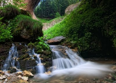 Tamil Meaning of Stream (as In Blood Stream) - அருவி