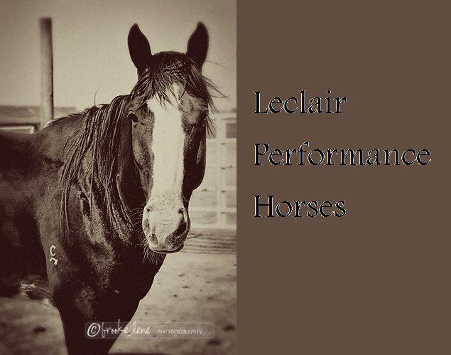 LeClair Performance Horses